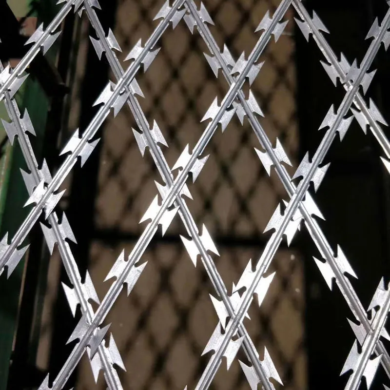 Колючая лента (5)