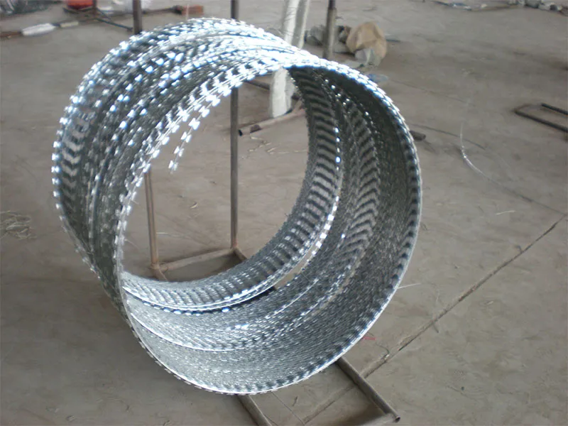 Колючая лента11 (6)