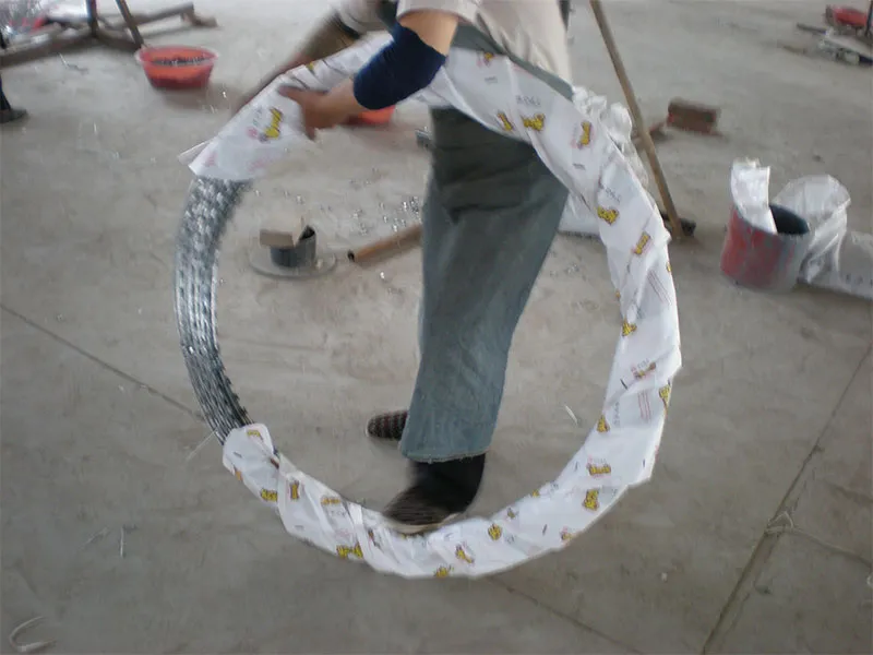 Колючая лента11 (7)