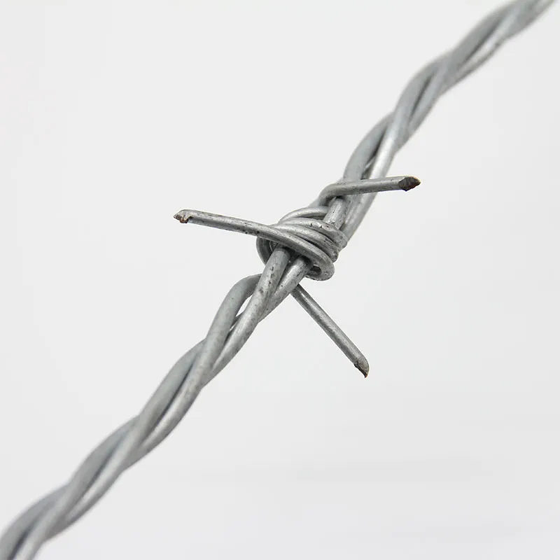 Колючая проволока (1)