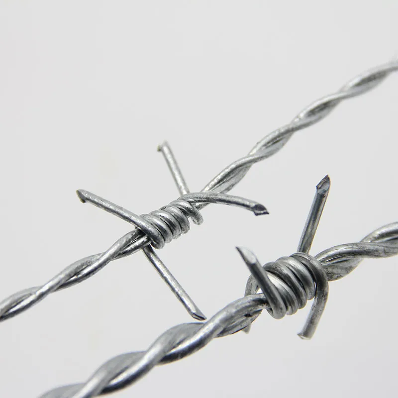 Колючая проволока (3)