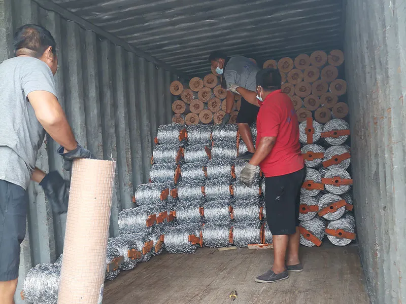 Колючая проволока11 (5)