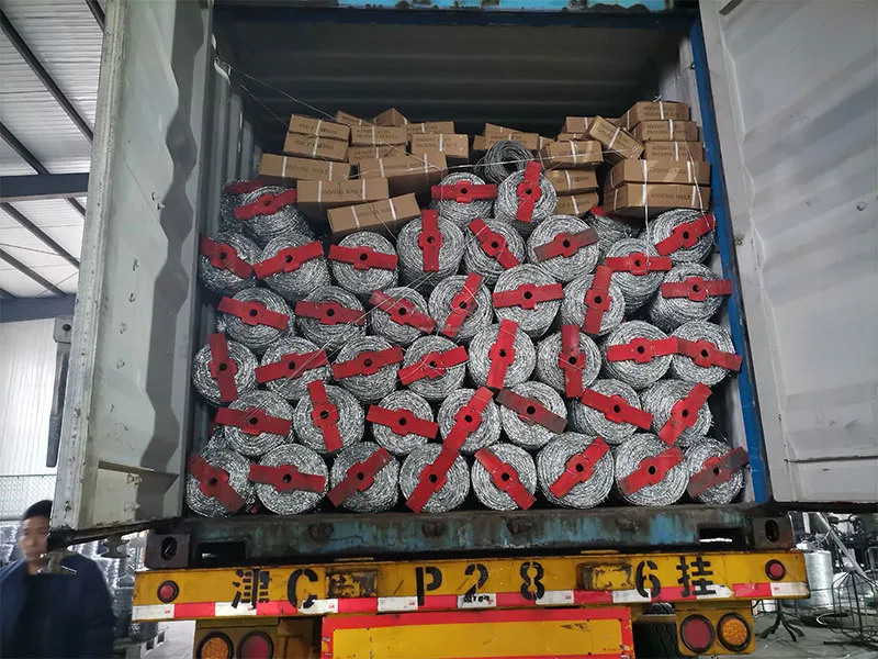 Колючая проволока11 (6)